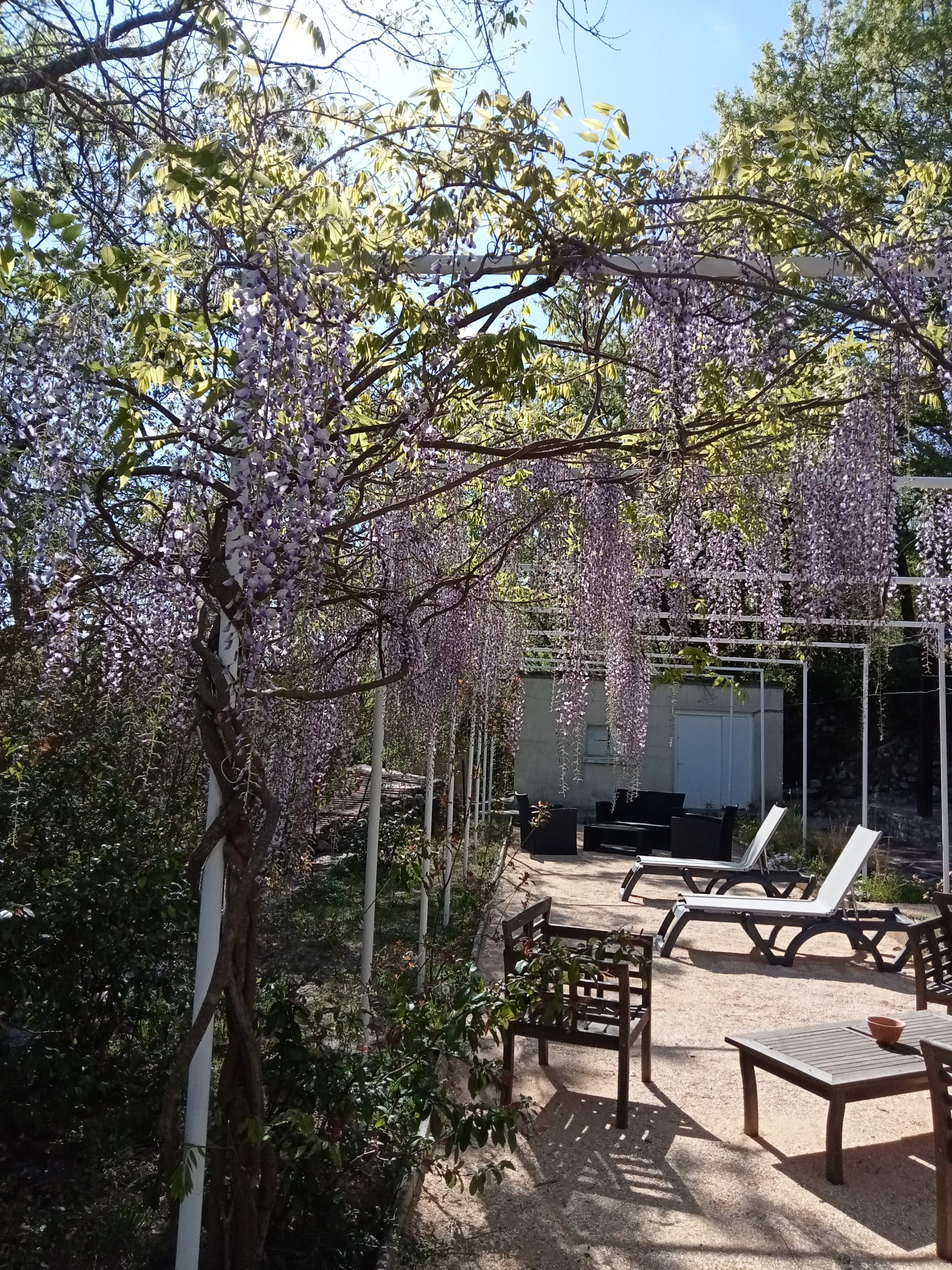 Allan - 7 personnes – Image 29